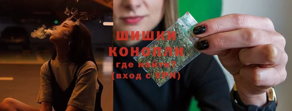 дмт Осинники