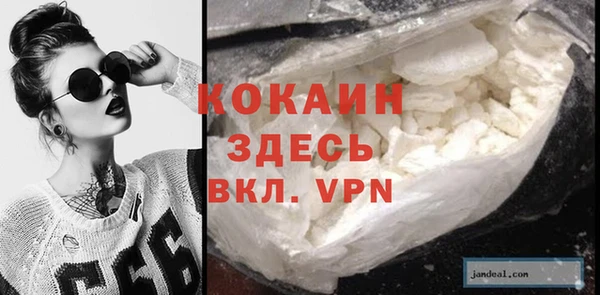 дмт Осинники